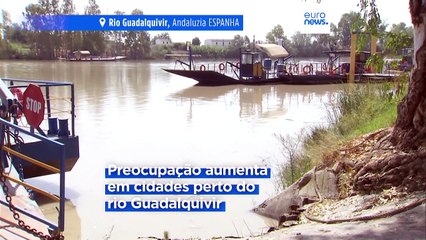 Preocupação com vírus do Nilo cresce na Europa: já morreram cinco pessoas na Andaluzia só este verão