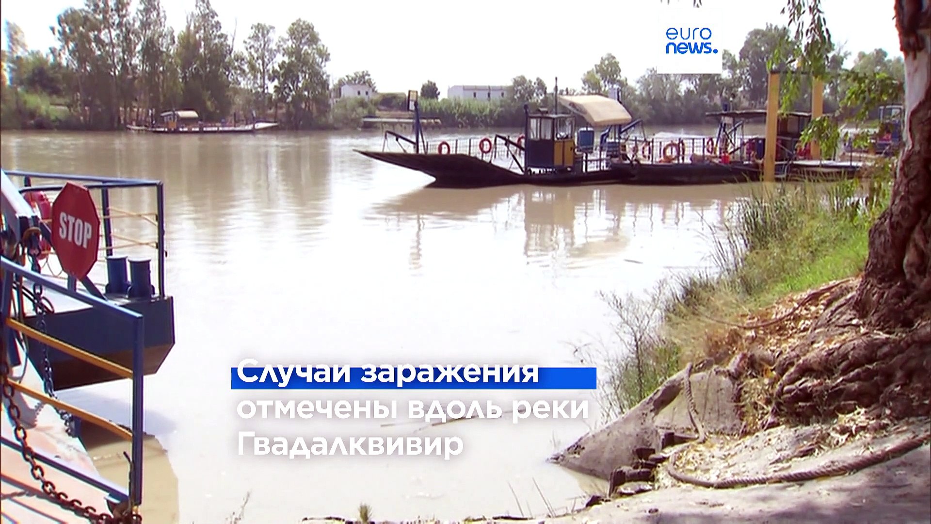 ⁣Новые смерти от лихорадки Западного Нила