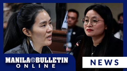 Hontiveros: Mystery of two Alice Guos, two Shiela Guos alarming