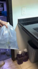 "This Fish Looks Like A Cartoon Follow For More"...!!