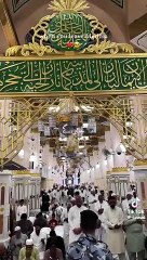 ہم مدینے میں تنہا نکل جائیں گے