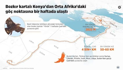 Konya'da takibe alınan 'Yörük' isimli bozkır kartalı, bir haftada Orta Afrika'ya ulaştı