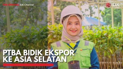 PTBA Bidik Ekspor ke Asia Selatan