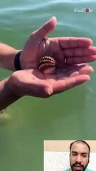 What is the name of the alien?ما هو اسم الكائن الغريب؟