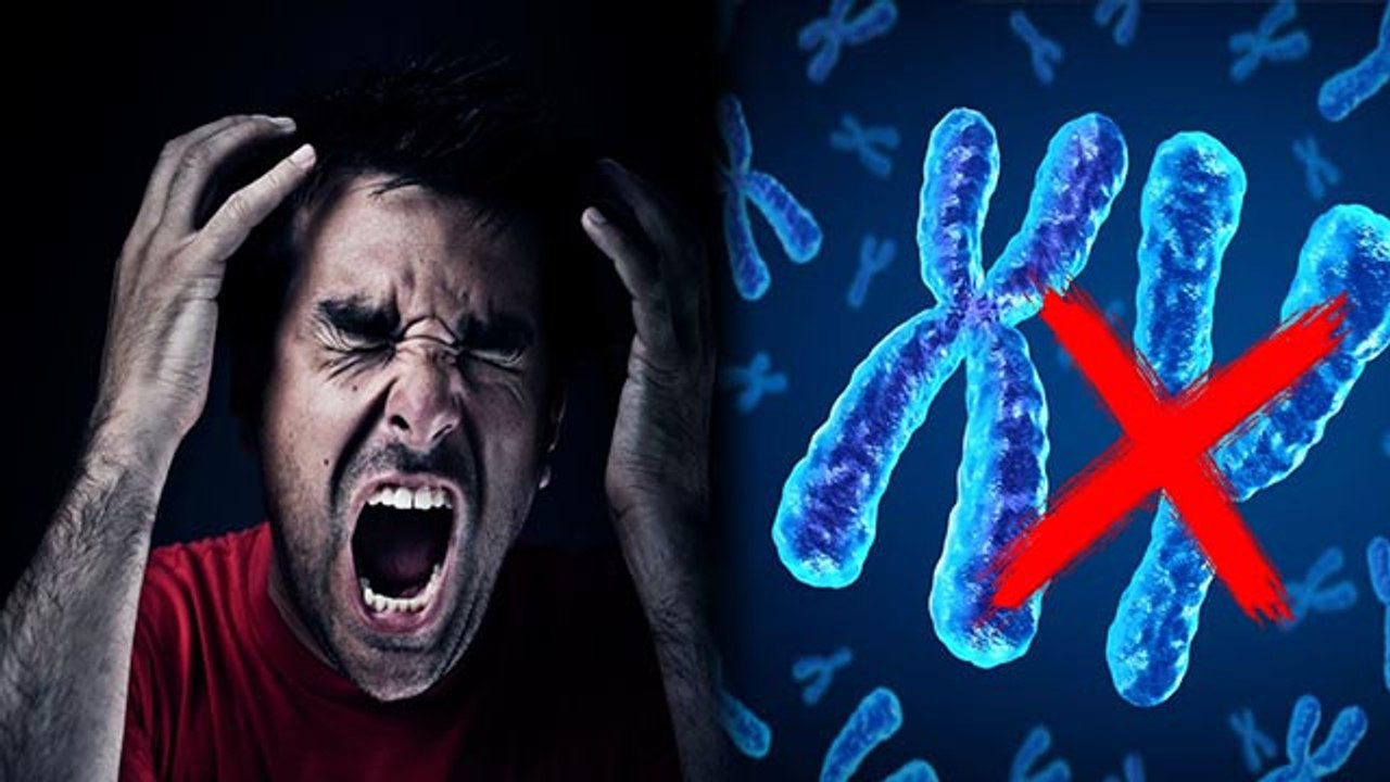 Y Chromosomes Are Shrinking | Men Population Di...