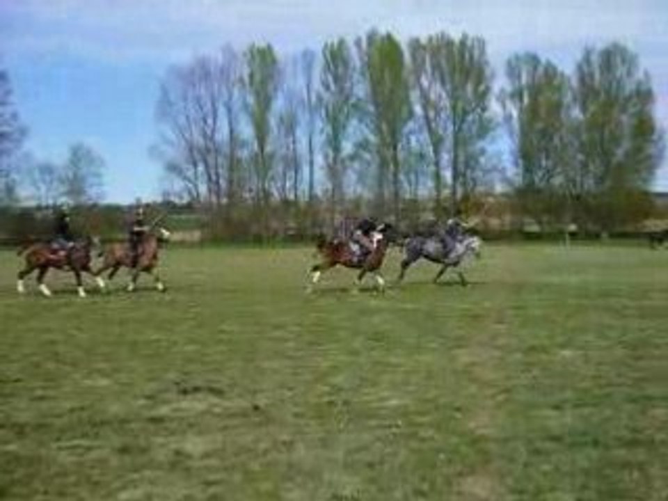 stage polo gragnague
