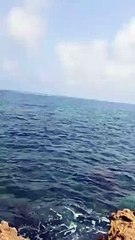 Polisin devriye botu mülteci botunu ezip geçti