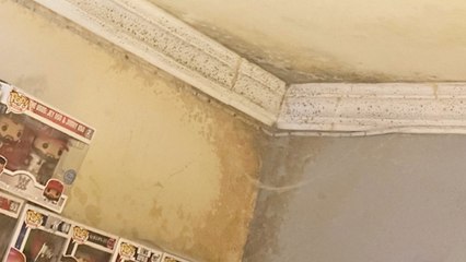 "Our council flat is so mould-ridden it left a relative hospitalised"