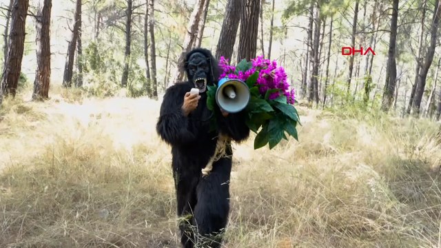 Aydın Aydın Goril kostümü giyip maymun çiçeği uyarısı yaptı 