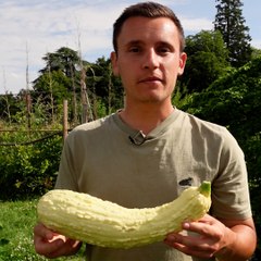 Valentin nous présente sa courgette préférée : la courgette pop corn