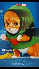 Dam dance #dametucosita #youtube #musica #001 @Star_14672