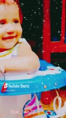 Dancing cat funny dance #shortytshort #viralshort #001  @star_14672