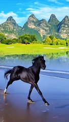 _#foryou_#horse_#video_