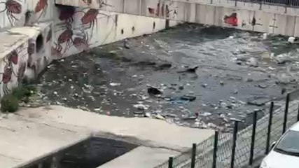 İstanbul'da sağanak sonrası Kurbağalıdere'den çöp aktı