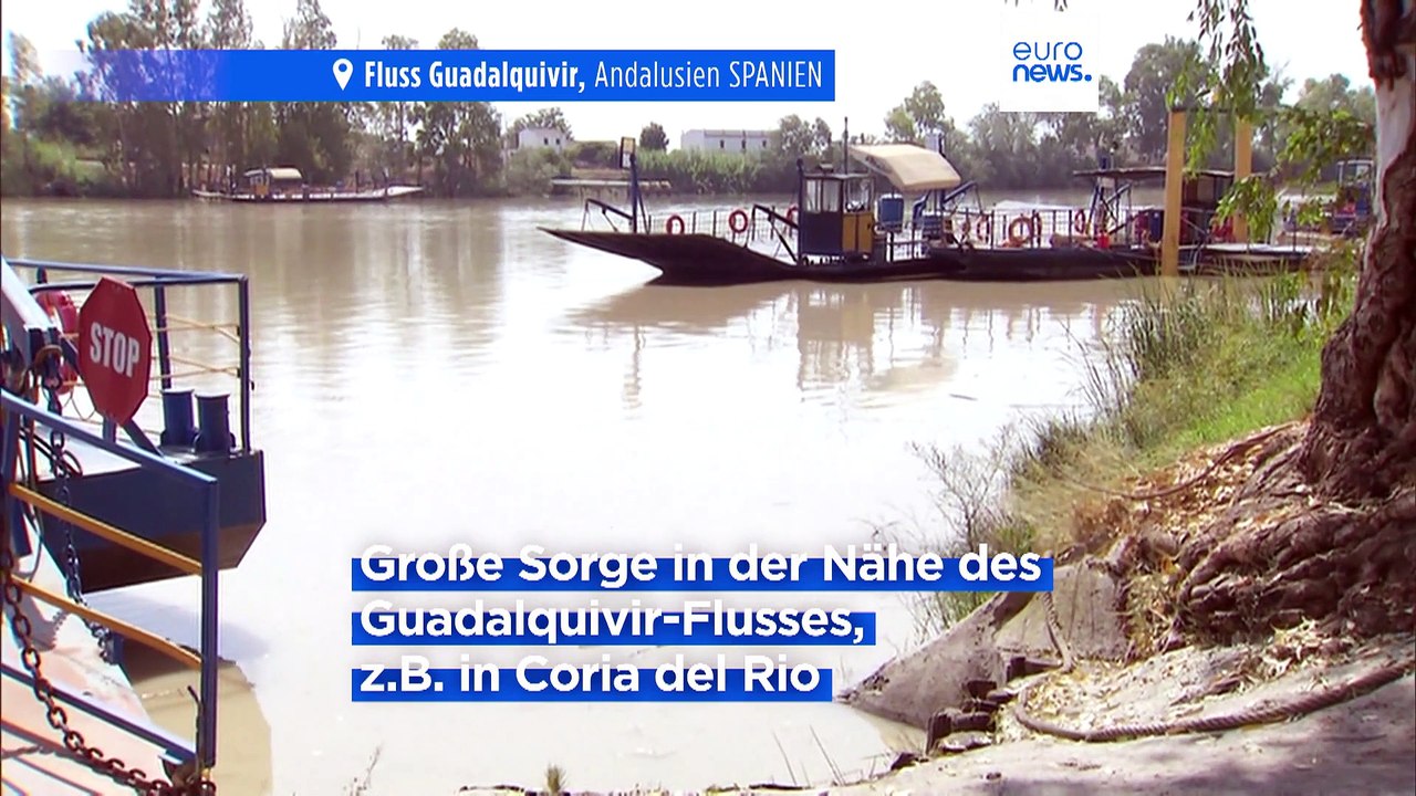 West-Nil-Fieber in Europa ausgebrochen - bereits mehrere Todesfälle