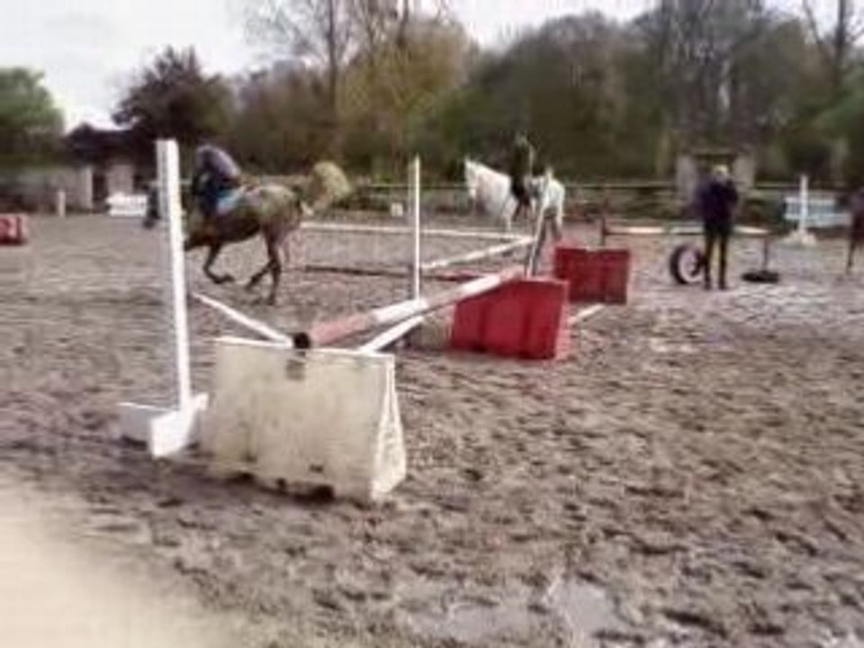 Saut joy
