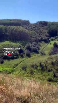 PARK,,,this is a beautiful park here is a grass,bushes