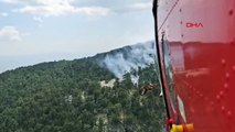 Kazdağları'nda orman yangını
