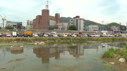 [경기] 광주시 목현천 생태하천 복원사업 경기도 공모 선정 / YTN