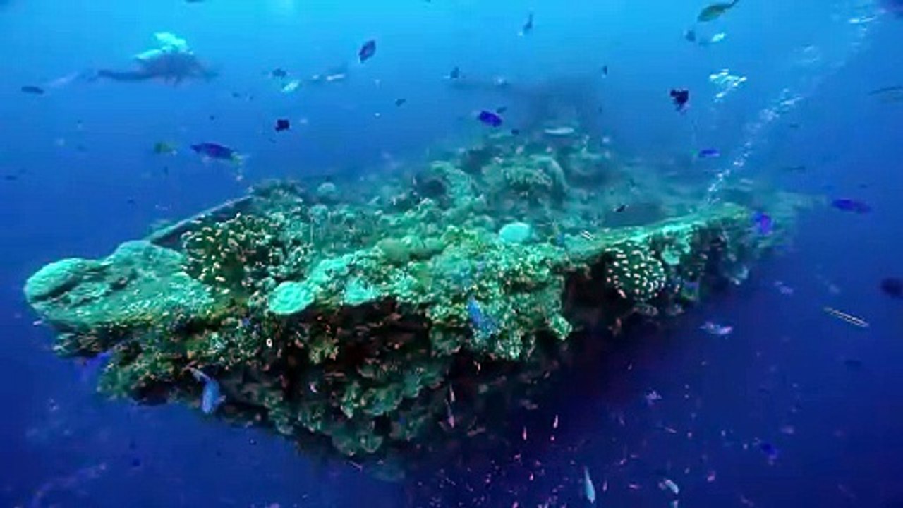 World War 2: The Shipwrecks of Truk Lagoon Trailer OV