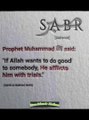 Sahih Al Bukhari !! Muhammadﷺ  !! Allah #TrueIslamicHadees​ #IslamicChannel​  #hadees​ #youtubeshorts​  ‪@TrueIslamicHadees786‬ #Reels #Shorts #Dailymotion