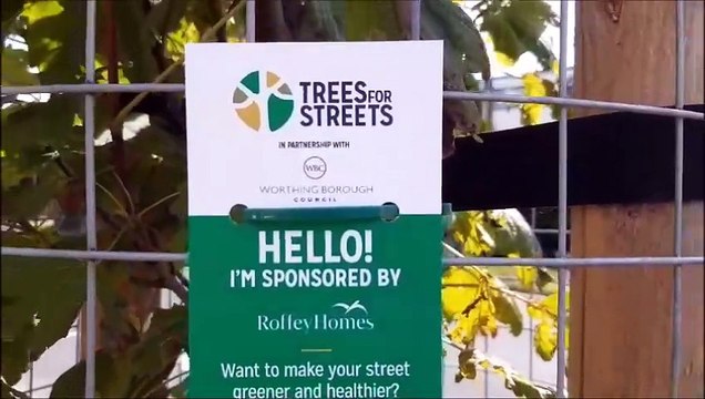 Trees for Streets scheme brings 35 new trees to Sompting Road and Sompting Avenue thanks to a £20,000 donation from developer Roffey Homes