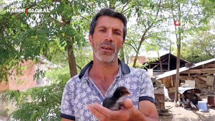 Erzurum'da öldü sanılan civcive kalp masajı yaptı, hayata döndürdü