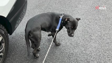 Il recherche la bonne affaires au milieu des objets à donner : il sursaute devant la forme qui n'a rien à faire là