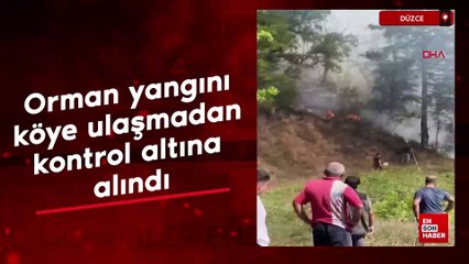 Düzce'de orman yangını köye ulaşmadan kontrol altına alındı