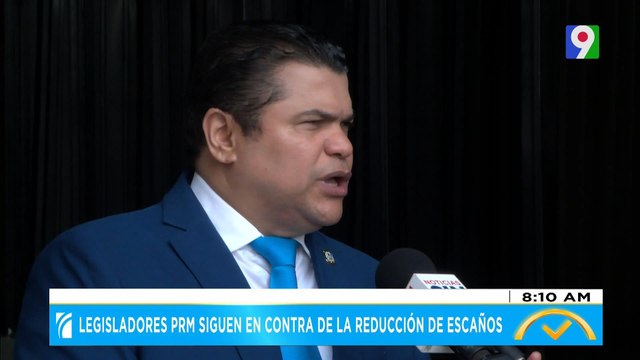 Legisladores PRM siguen en contra de la reducción de escaños | El Despertador