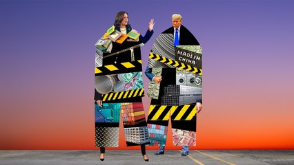 Who’s Better For Your Wallet, Kamala Harris or Donald Trump?