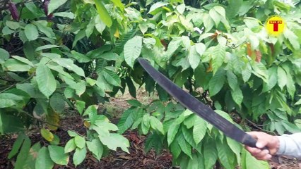 LETTY CEVALLOS PROMOVERÁ PROYECTOS DE LEY CON EL FIN DE MEJORAR EL BIENESTAR DE LAS FAMILIAS