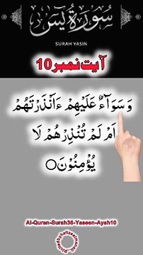 Al-Quran - Surah 36 - Yaseen - Ayah 10 | daily tilawat quran | hafiz salman ali