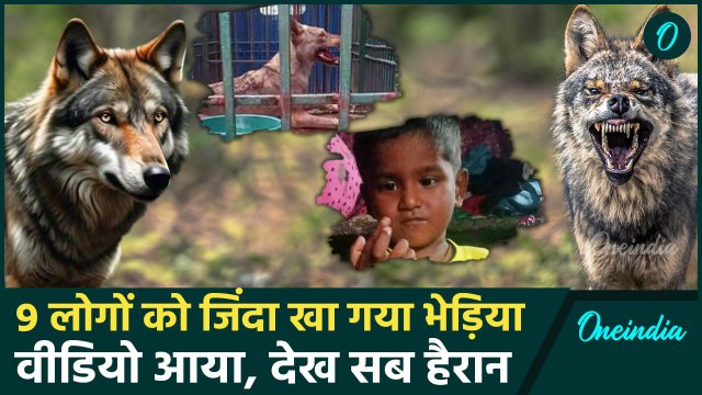 Bahraich: बहराइच में आदमखोर भेड़ियों का आतंक, बच्चों को बनाया निवाला | Wolf Attack | वनइंडिया हिंद