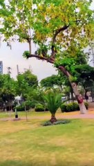 comedy content creater