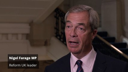 Man who threw object at Nigel Farage avoids jail