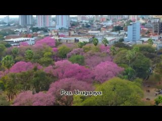 PARAGUAY - 2011 Asunción, de Pza Uruguaya al Puerto