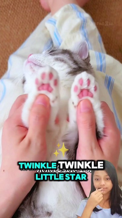 Twinkle Twinkle little star..