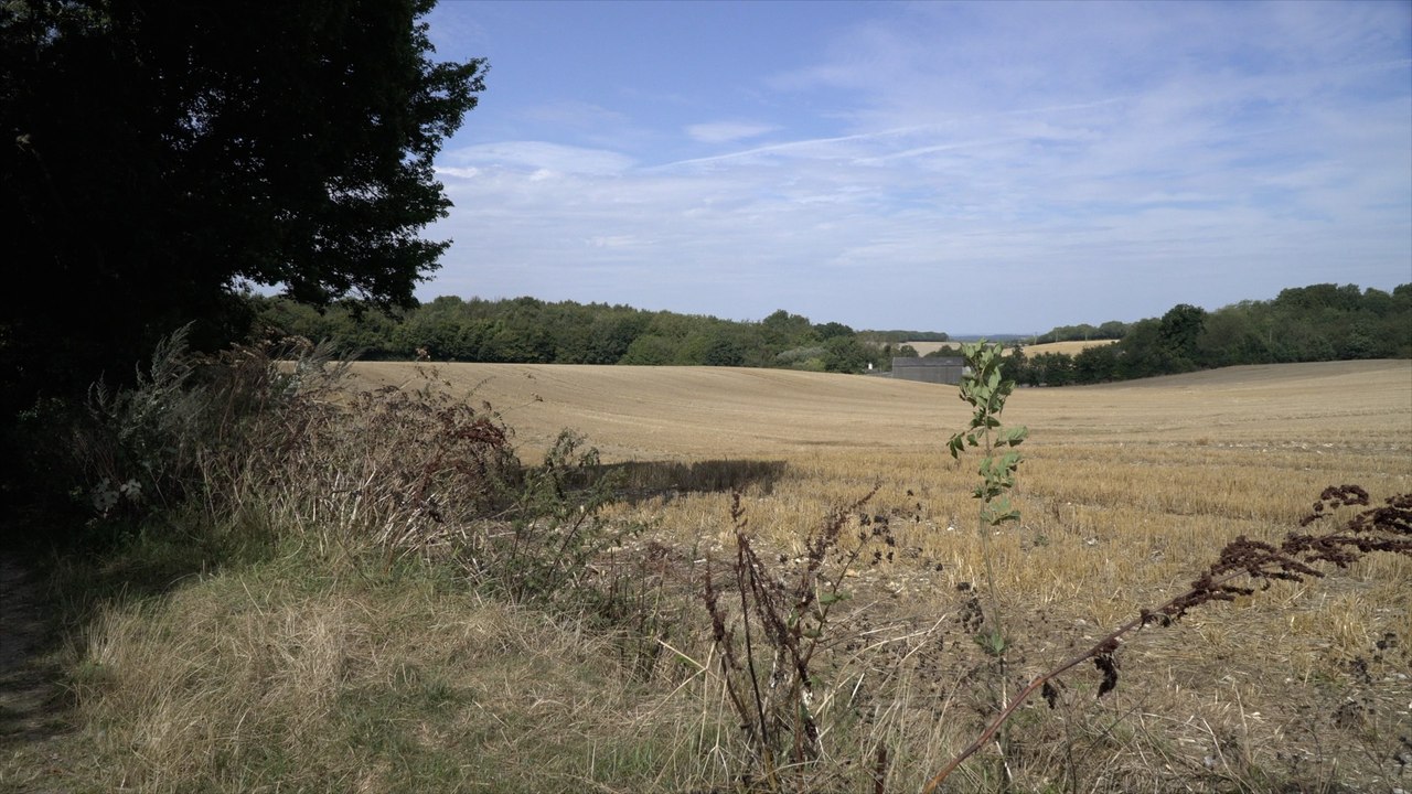 Plans for 450 new homes in rural Medway to be decided