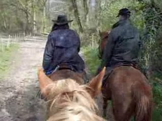 foret d'angervilliers