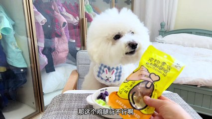 I suspect that my dog is a human, and there is no obstacle to communication with me, don't believe you - watermelon video