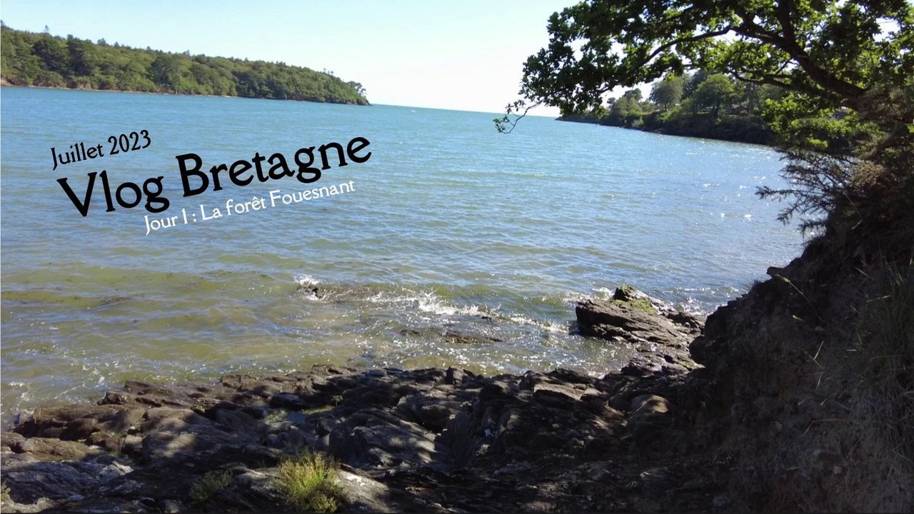 Vlog bretagne 2023 jour 1 : Forêt de Fouesnant