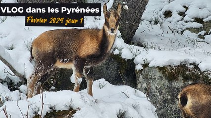 VLOG Pyrénées février 2024 jour 1