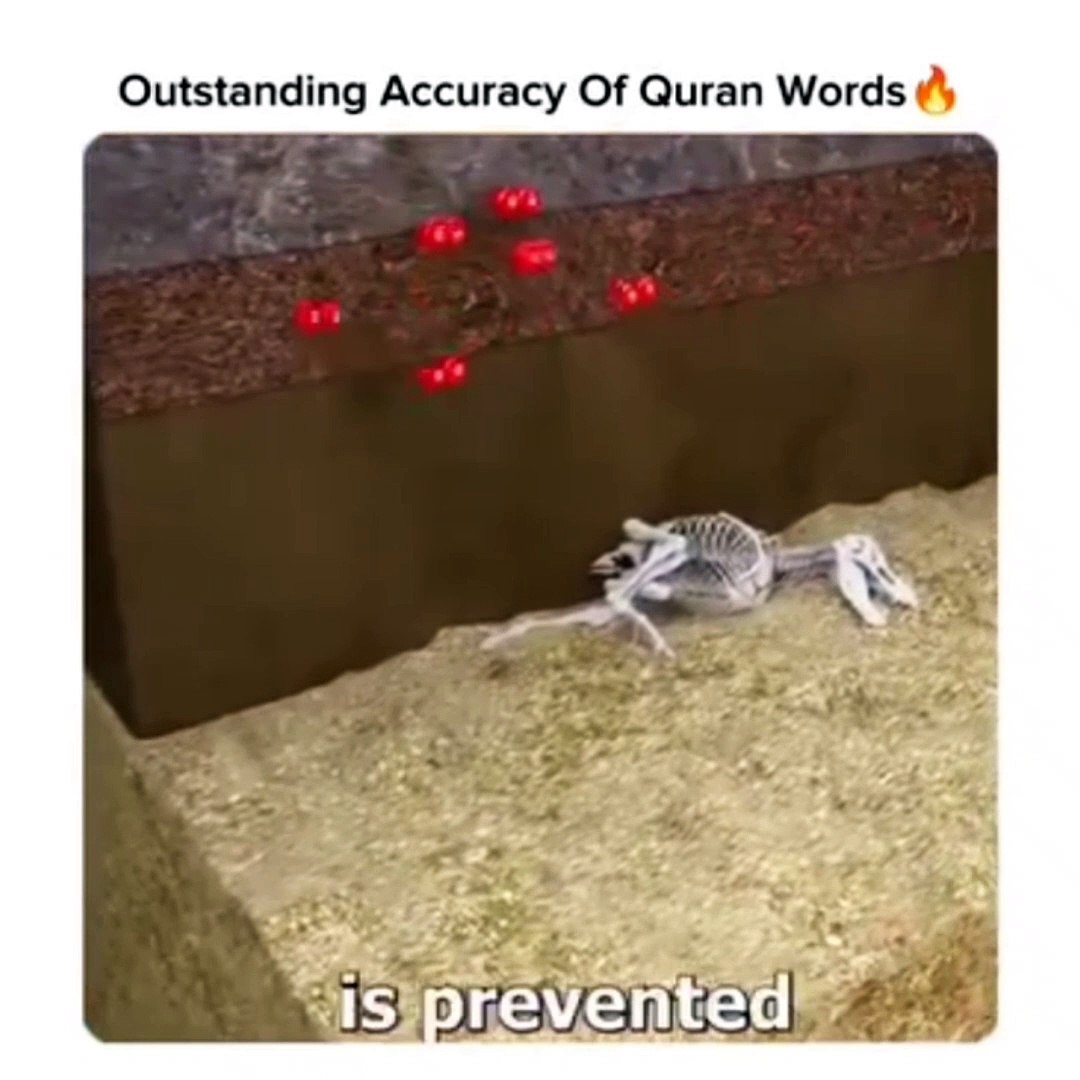 Science
