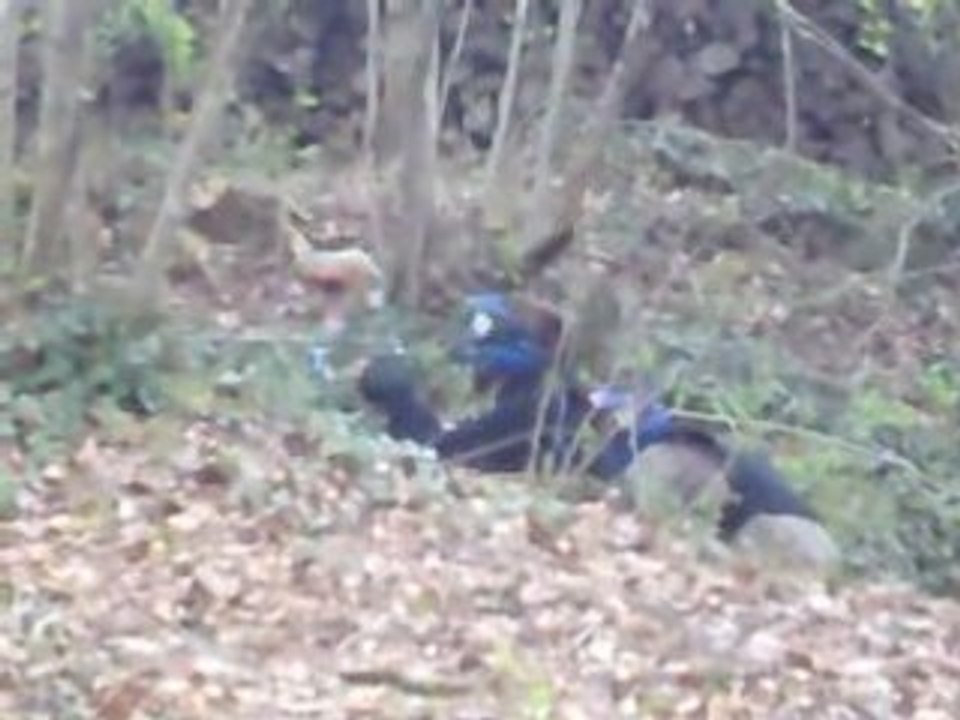Paintball