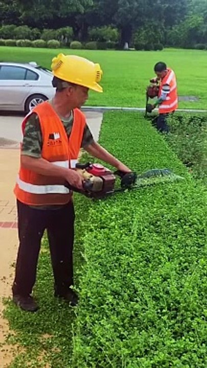 গাছ ছাটাই করার মেশিন