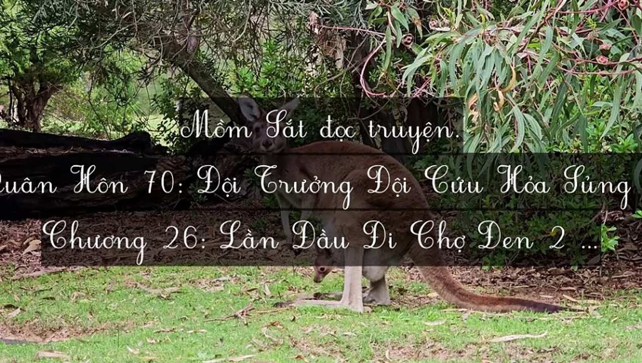 C24-C46 Quân Hôn 70: Đội Trưởng Đội Cứu Hỏa Sủng Thê Như Bảo