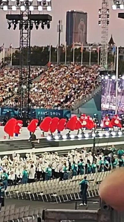 Cérémonie d'ouverture des paralympiques : la hola des phryges