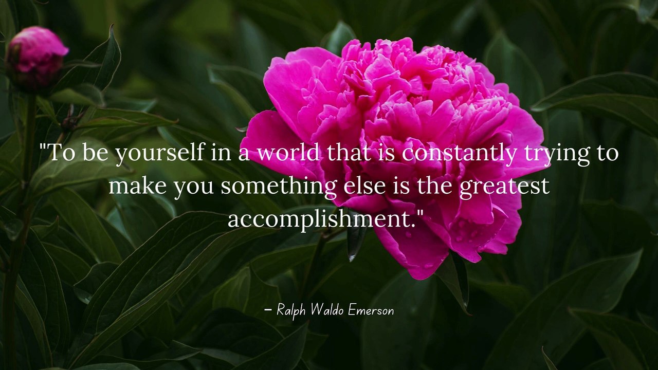 Why Being Different is Your Superpower | Positive Thoughts