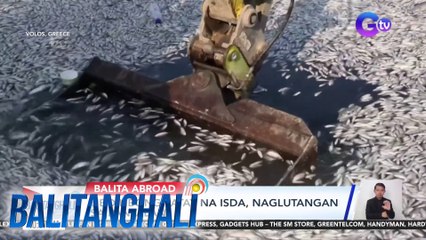 Libo-libong patay na isda, naglutangan sa pantalan | Balitanghali